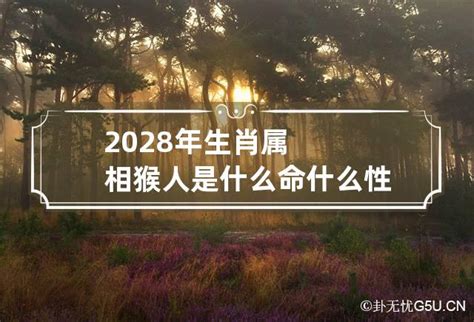 2028五行|2028年出生属猴五行属什么,2028年属猴人是什么命